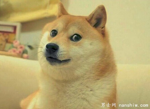 ΪФǹԣʵԳʱ׸˿Ƽ