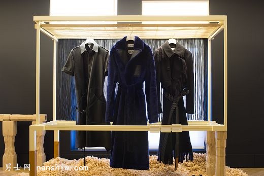 LOEWE 17ﶬװϵ 빤յĽ