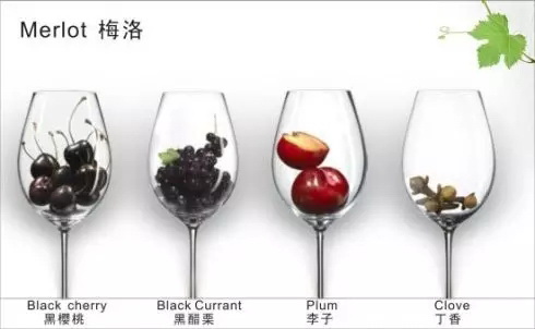 她,喝过的人都会喜欢的葡萄酒