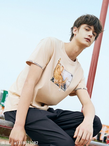 ���˻�����ʿ����è��˿��ӡ��T��3ɫ