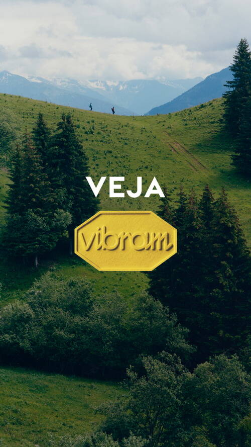 ƷVEJAVIBRAMɳչе