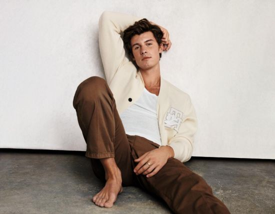 δ TOMMY HILFIGER X SHAWN MENDESϵ2023괺ȫ