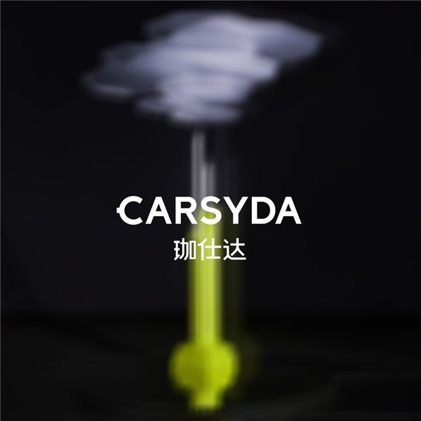 CARSYDA 2023Ƭ | 