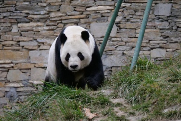 �Գ��ü��ظ�����֮Լ����˹���������èͬ��