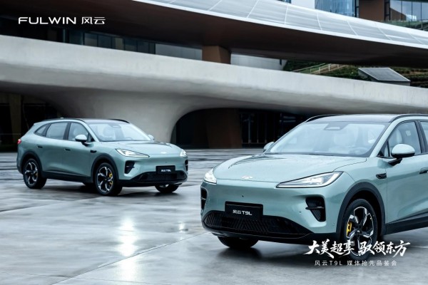 ��ֹ�ڴ󣬷���T9L����ӥ�Ǽ�ڹ������������